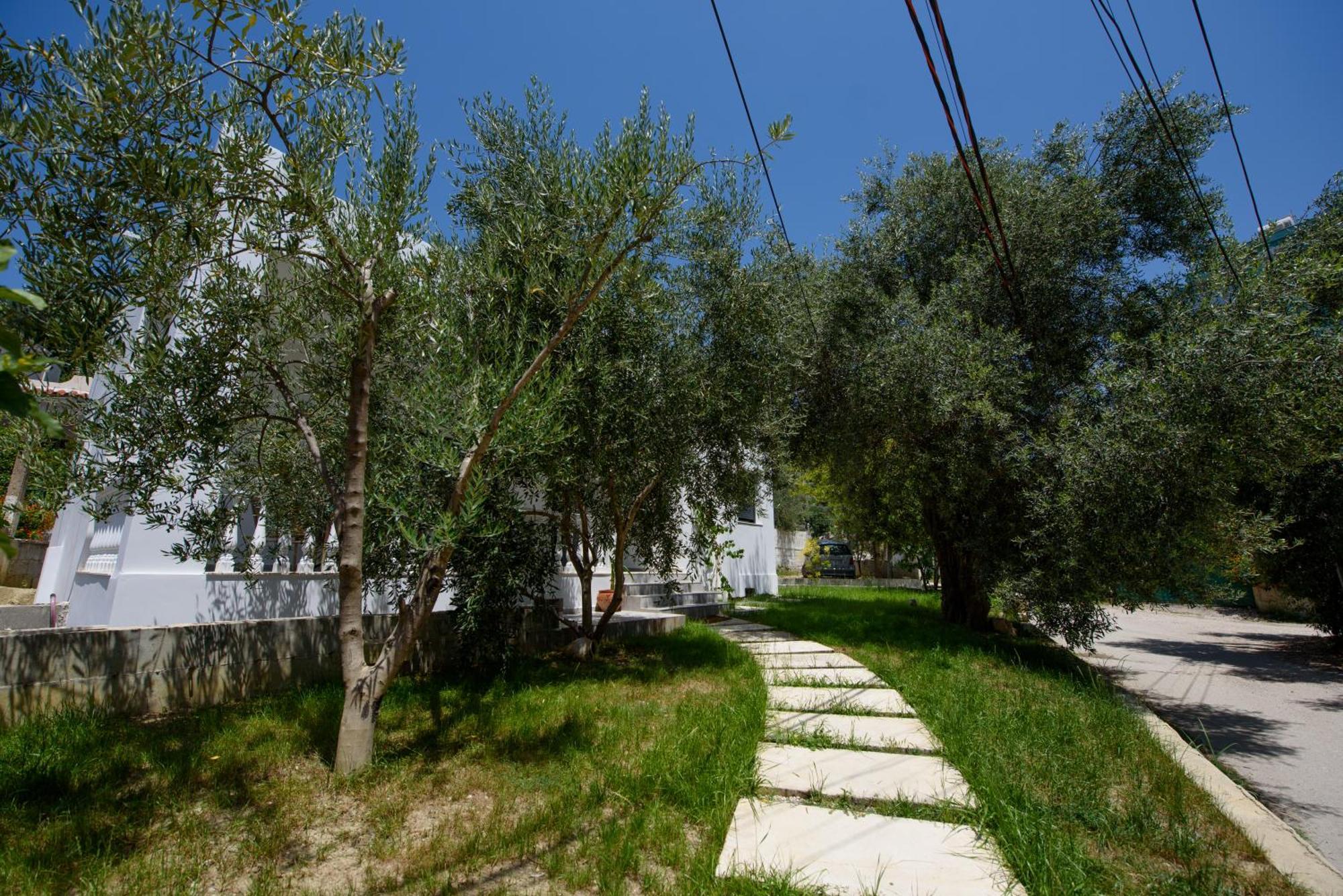 Olivium Rooms Vlorë エクステリア 写真